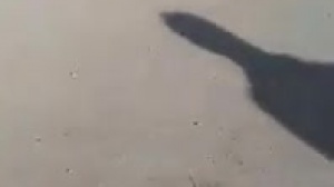 ویدئو- نیروهای انتظامی ایران یک شهروند عرب احوازی دیگری را با خونسردی کشتند