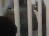 حمله خشونت بار نیروی انتظامی در پی همدردی تماشاگران اهوازی با یونس عساکره+فیلم