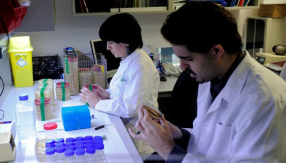 علایم ایدز و اچ ای وی علایم ایدز و اچ ای وی