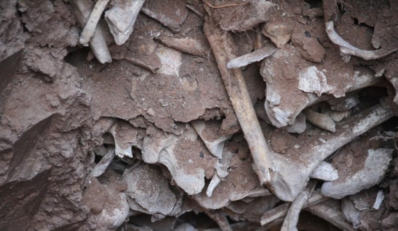 کشف گور دسته جمعی قتل عام هزاران تن از مردم آذربایجان در تبریز کشف گور دسته جمعی قتل عام هزاران تن از مردم آذربایجان در تبریز