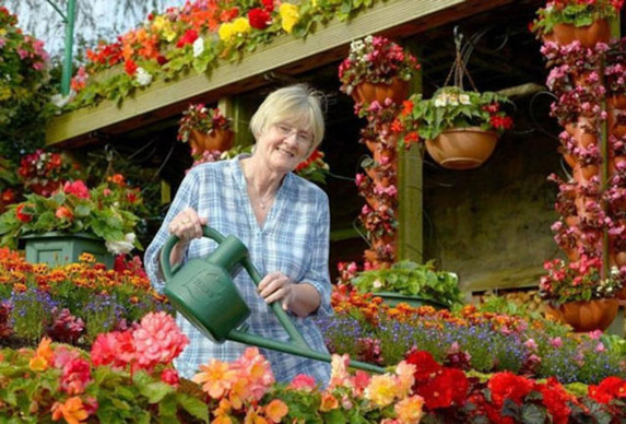 گیاهان خانگی مبارز با آلودگی هوا! گیاهان خانگی مبارز با آلودگی هوا!