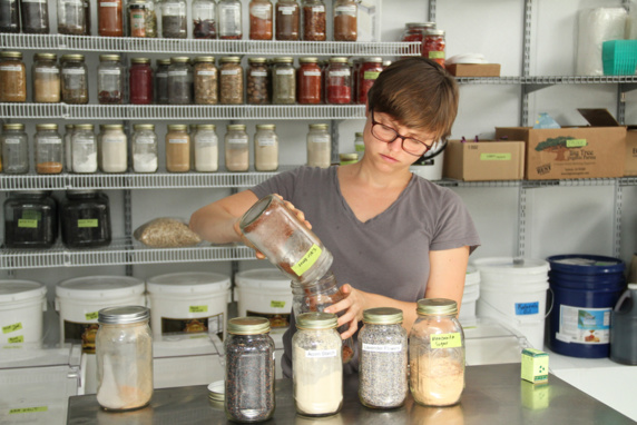 خواص ادویه جات و فواید درمانی آن برای بدن! خواص ادویه جات و فواید درمانی آن برای بدن!