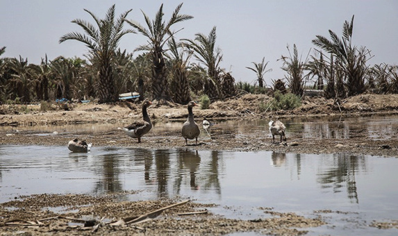 نابودی بزرگترین تالاب در قاره آسیا نابودی بزرگترین تالاب در قاره آسیا