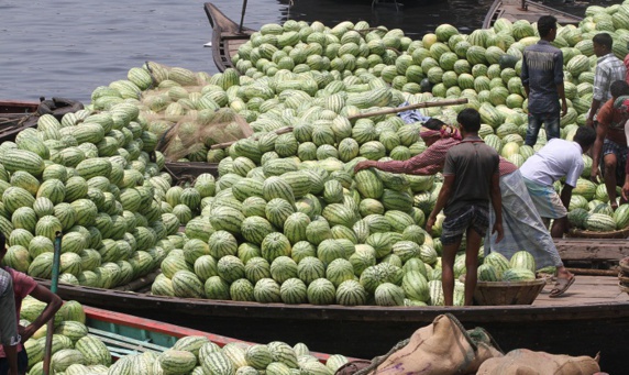 هندوانههای صادراتی ایران به کشورهای حوزه خلیج بازگشت داده شد هندوانههای صادراتی ایران به کشورهای حوزه خلیج بازگشت داده شد