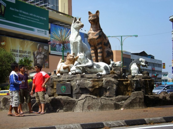 کوچینگ شهری در کشور مالزی برای عاشقان گربه کوچینگ شهری در کشور مالزی برای عاشقان گربه