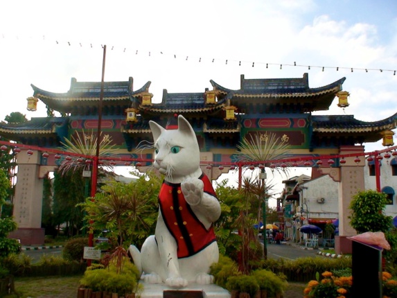  کوچینگ شهری در کشور مالزی برای عاشقان گربه