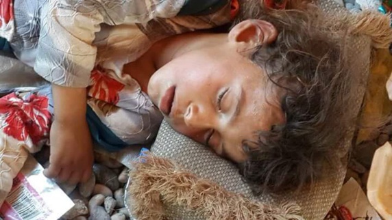 رهبران اهل سنت عراق در صدد تشکیل شورای عالی برگزاری همهپرسی هستند رهبران اهل سنت عراق در صدد تشکیل شورای عالی برگزاری همهپرسی هستند