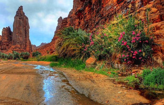 مناظر طبیعی الدیسه در مرکز شهر جدید التاسیس «نیوم» سعودی + تصاویر مناظر طبیعی الدیسه در مرکز شهر جدید التاسیس «نیوم» سعودی + تصاویر