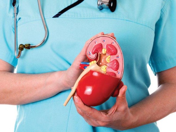 مراقب کلیه هایتان باشید! مراقب کلیه هایتان باشید!