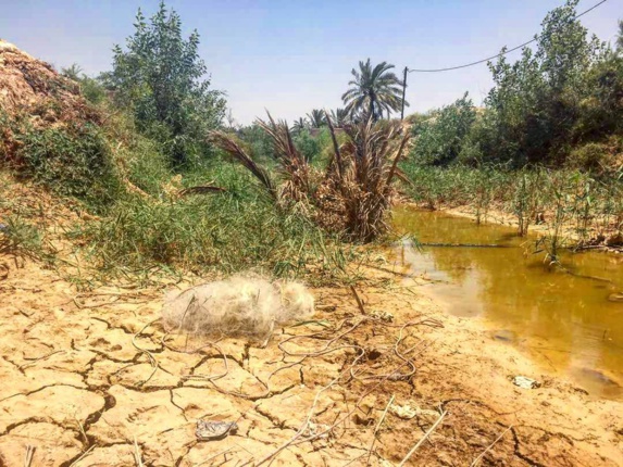 فرياد خشک و چرکین فلاحیه وقتی رودهای بی آب طغیان میکنند /يوسف السرخي فرياد خشک و چرکین فلاحیه وقتی رودهای بی آب طغیان میکنند /يوسف السرخي