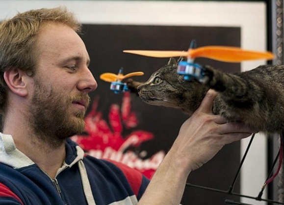 یک مبتکر هولندی گربه مرده خود را به پرواز در آورد