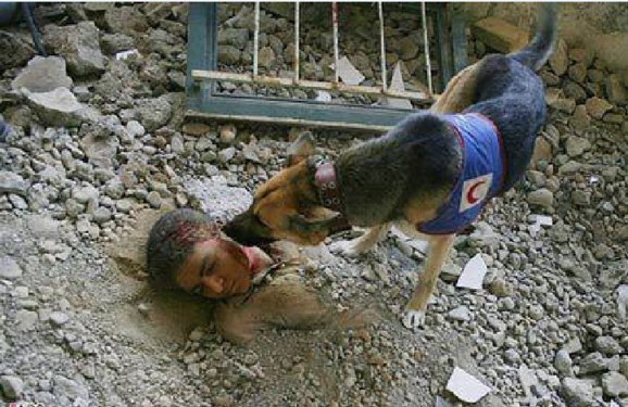 سرگردانی کاروان امدادرسانی ترکیه پشت مرزهای ایران سرگردانی کاروان امدادرسانی ترکیه پشت مرزهای ایران