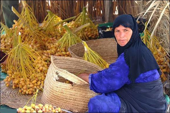 در بحران اقتصادی کشور وضعیت زنان کارگر بمراتب از وضع کارگران مرد بد تر شده است در بحران اقتصادی کشور وضعیت زنان کارگر بمراتب از وضع کارگران مرد بد تر شده است