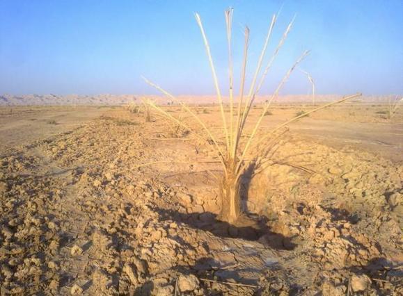 از کِه آب میخورد؟/عبدالرزاق پورعاطف از کِه آب میخورد؟/عبدالرزاق پورعاطف