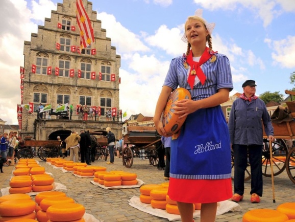 عرضه پنیر در هلند -عکس آرشیوی