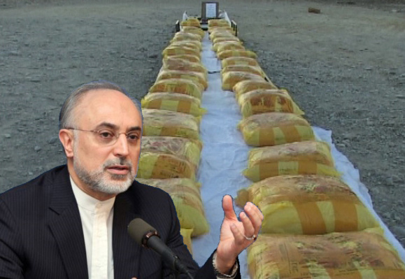 وزیر خارجه ایران: سال آینده سونامی مواد مخدر خواهیم داشت با اشاره به گسترش مزارع کشت تریاک در افغانستان وزیر خارجه ایران: سال آینده سونامی مواد مخدر خواهیم داشت با اشاره به گسترش مزارع کشت تریاک در افغانستان