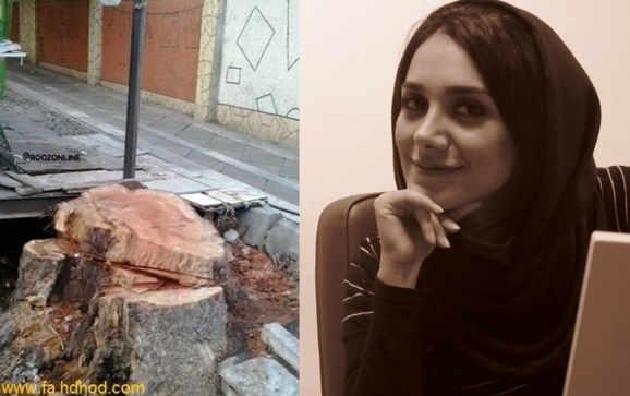 نیوشا صارمی نیوشا صارمی