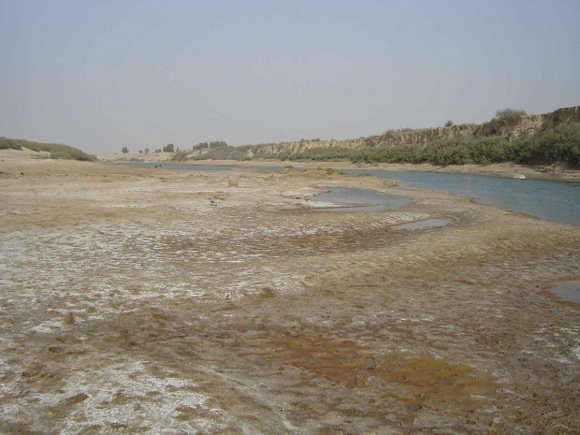 رودخانه زهره آرام آرام جان می‌سپارد / کشاورزی هندیجان قربانی خشکسالی