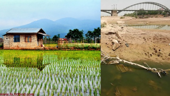 رودخانه کارون؛ قربانی کشت برنج در اصفهان رودخانه کارون؛ قربانی کشت برنج در اصفهان