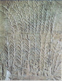 جنگ بر سر آب خاورمیانه و تبعات آن/مهدی هاشمی جنگ بر سر آب خاورمیانه و تبعات آن/مهدی هاشمی