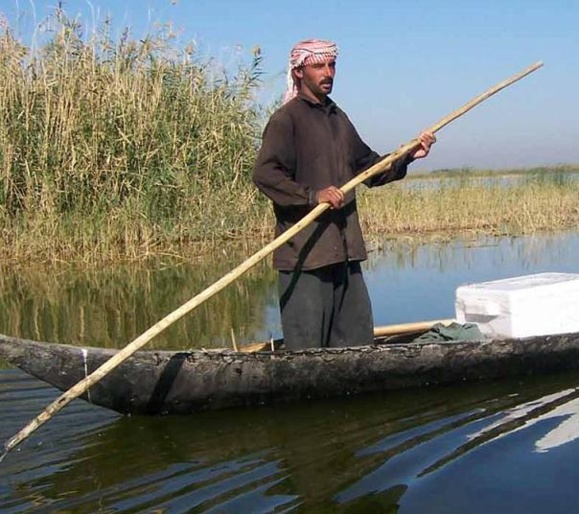 آخرین نفس های تالاب بین المللی هور العظیم بر روی دستان آلوده نفت