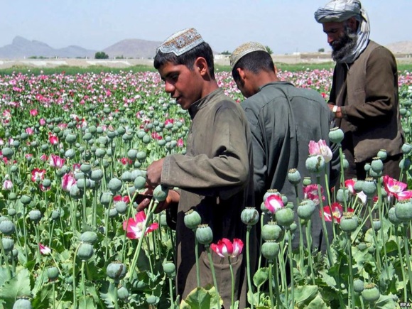 نقش مافیای مواد مخدر و میزان آلودگی به اعتیاد در ایران / جهانگیز گلزار