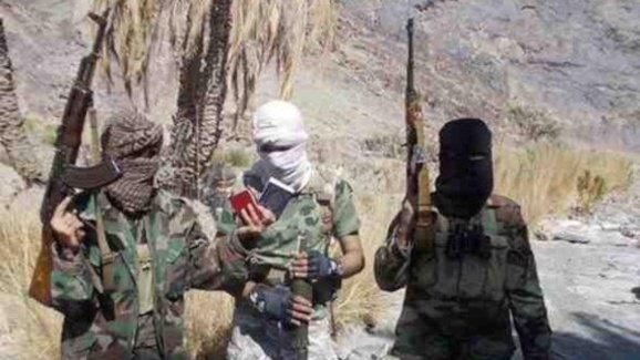 واکنش وزارت کشور به ادعای همکاری گروهبان داناییفر با جیشالعدل واکنش وزارت کشور به ادعای همکاری گروهبان داناییفر با جیشالعدل