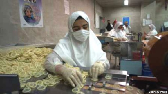 انتقاد وزارت بهداشت از طرح باروری: نمیتوان به زور متوسل شد انتقاد وزارت بهداشت از طرح باروری: نمیتوان به زور متوسل شد
