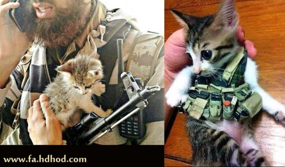 داعش حیوانات اهلی را به عناصر انتحاری تبدیل کرد+عکس داعش حیوانات اهلی را به عناصر انتحاری تبدیل کرد+عکس