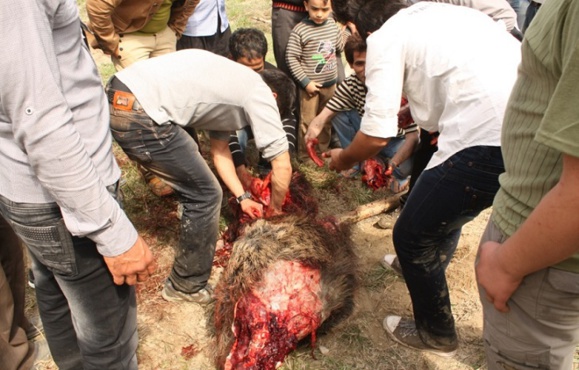 ماجرای سوپرمارکتی که گوشت خوک در تهران عرضه میکرد ماجرای سوپرمارکتی که گوشت خوک در تهران عرضه میکرد