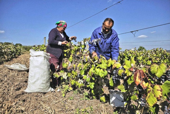 سرنوشتی مشابه اوکراین، مولداوی را تهدید میکند سرنوشتی مشابه اوکراین، مولداوی را تهدید میکند