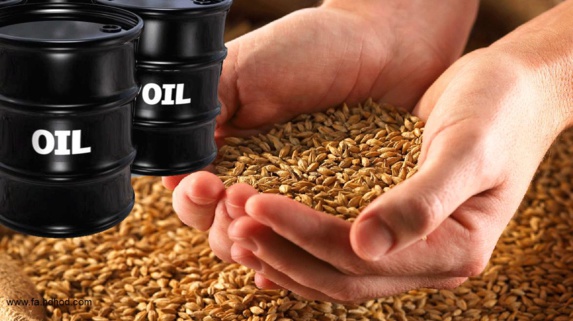 تحریمها؛ خودکفا شدیم: نفت می دهیم گندم می گیریم تحریمها؛ خودکفا شدیم: نفت می دهیم گندم می گیریم