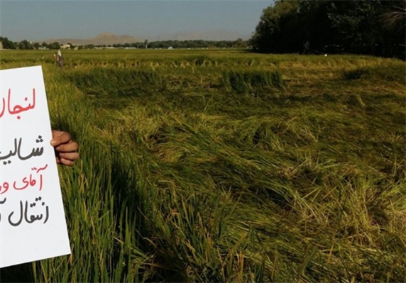 گزارش مستند خبرگزاری فارس/آب شرب مردم عرب را برای آبیاری مزارع برنج اصفهانیها بردند گزارش مستند خبرگزاری فارس/آب شرب مردم عرب را برای آبیاری مزارع برنج اصفهانیها بردند