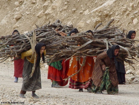 زنان روستایی، فعالان گمنام اقتصادی زنان روستایی، فعالان گمنام اقتصادی