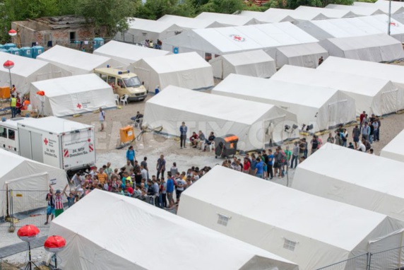 شبیحه اسد در میان درخواست کنندگان پناهندگی در آلمان