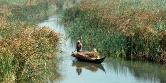 مهمانخانه ای از بوریا و نی مهمانخانه ای از بوریا و نی