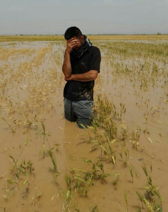 تظاهرات گسترده عربهای اهوازی در شهرهای مختلف جهان تظاهرات گسترده عربهای اهوازی در شهرهای مختلف جهان