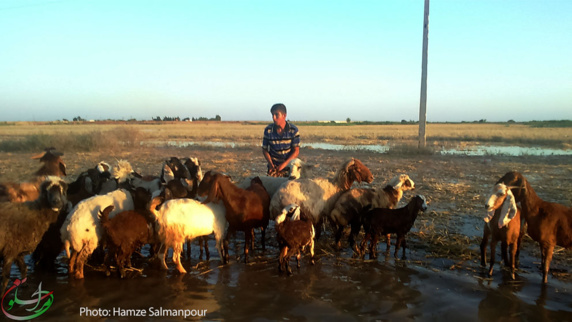 محنتهای سیلزدگان شعیبیه و خطر فاجعهای انسانی + عکس محنتهای سیلزدگان شعیبیه و خطر فاجعهای انسانی + عکس