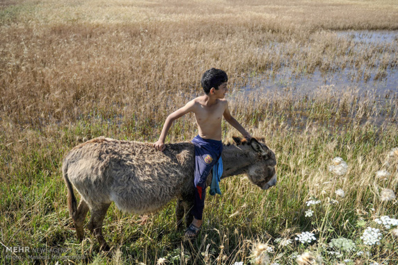 شهرستان شوش درمحاصره چندین روزه سیل/ گزارش تصویری شهرستان شوش درمحاصره چندین روزه سیل/ گزارش تصویری