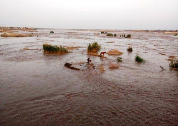 شهرستان شوش درمحاصره چندین روزه سیل/ گزارش تصویری شهرستان شوش درمحاصره چندین روزه سیل/ گزارش تصویری