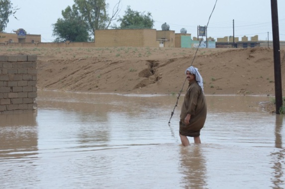۳۵ گوزن ایرانی بر اثر سیل متعمد خوزستان (عربستان) مفقود شدند