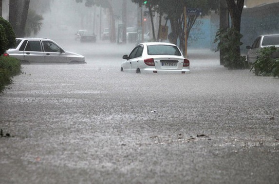 ۳۵ گوزن ایرانی بر اثر سیل متعمد خوزستان (عربستان) مفقود شدند ۳۵ گوزن ایرانی بر اثر سیل متعمد خوزستان (عربستان) مفقود شدند
