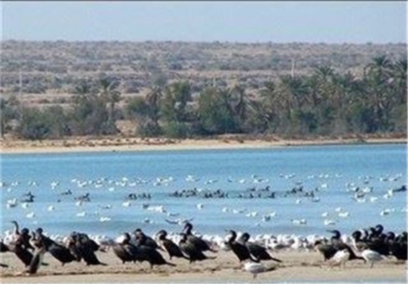 سه اثر جهانی خوزستان ،عربستان،الاحواز،بدون زیرساخت گردشگری سه اثر جهانی خوزستان ،عربستان،الاحواز،بدون زیرساخت گردشگری