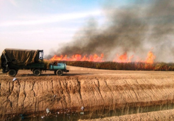 آلودگی هوا، آب وخاک/بحران نمک کارون وهورالعظیم را تهدید میکند آلودگی هوا، آب وخاک/بحران نمک کارون وهورالعظیم را تهدید میکند