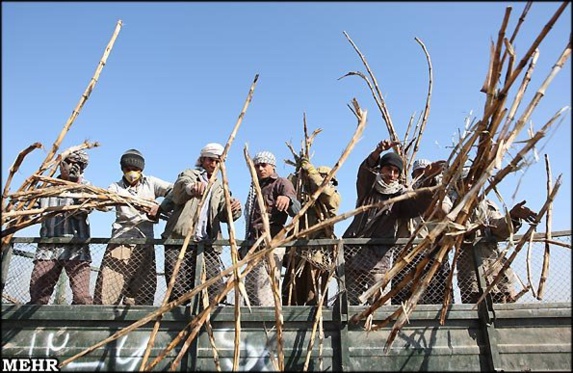 آلودگی هوا، آب وخاک/بحران‌ نمک کارون‌ وهورالعظیم را تهدید‌ می‌کند