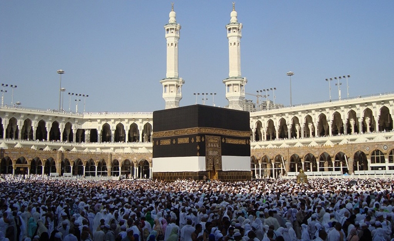 دیدار وزیر حج و عمره پادشاهی سعودی با رئیس حج و زیارت ایران   دیدار وزیر حج و عمره پادشاهی سعودی با رئیس حج و زیارت ایران