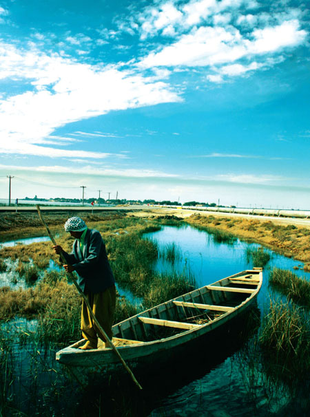 تالاب بین المللی شادگان (فلاحیه) و فرصتی دیگر تالاب بین المللی شادگان (فلاحیه) و فرصتی دیگر