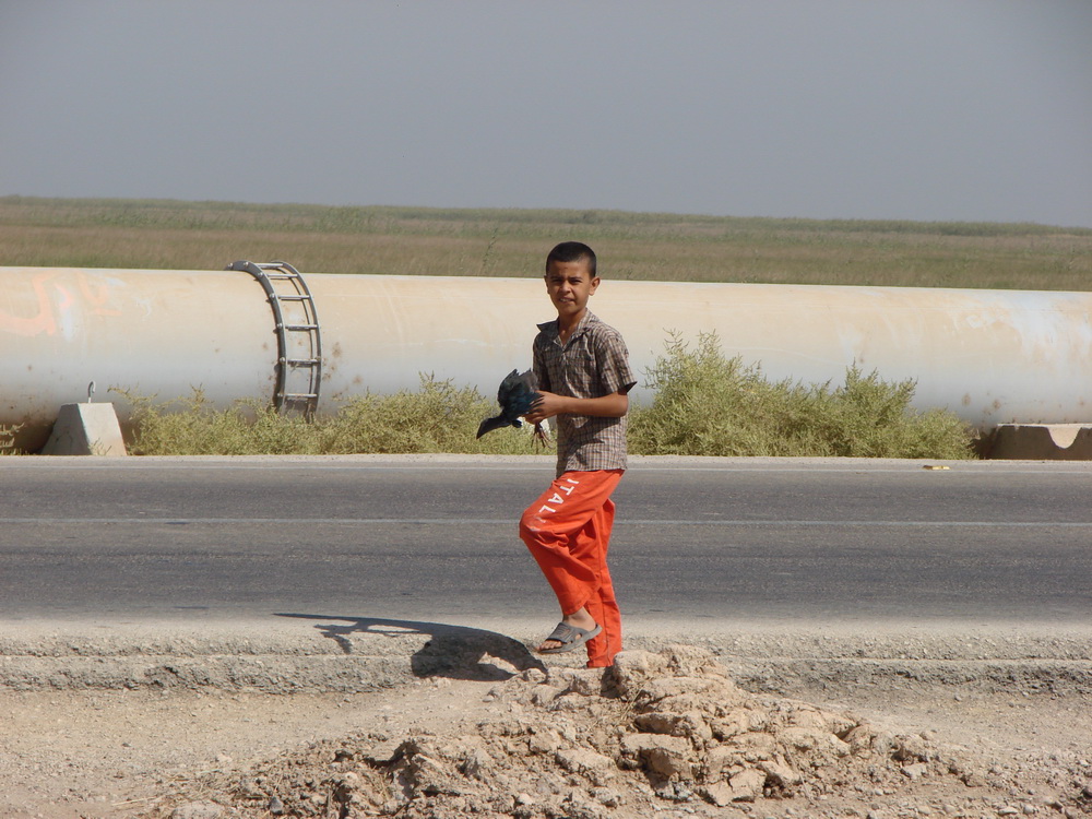 تالاب بین المللی شادگان (فلاحیه) و فرصتی دیگر تالاب بین المللی شادگان (فلاحیه) و فرصتی دیگر