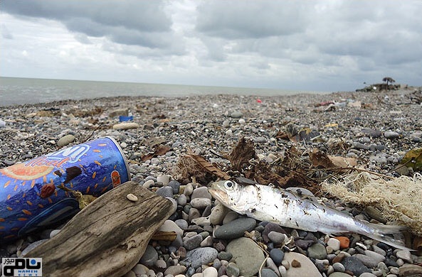 ورود ۱۰۰‌درصد فاضلاب  خانه‌های ساحلی به دریای خزر