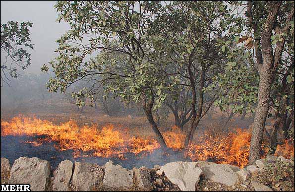 ده‌ها هکتار از جنگل‌های کهگیلویه بویراحمد در آتش سوخت